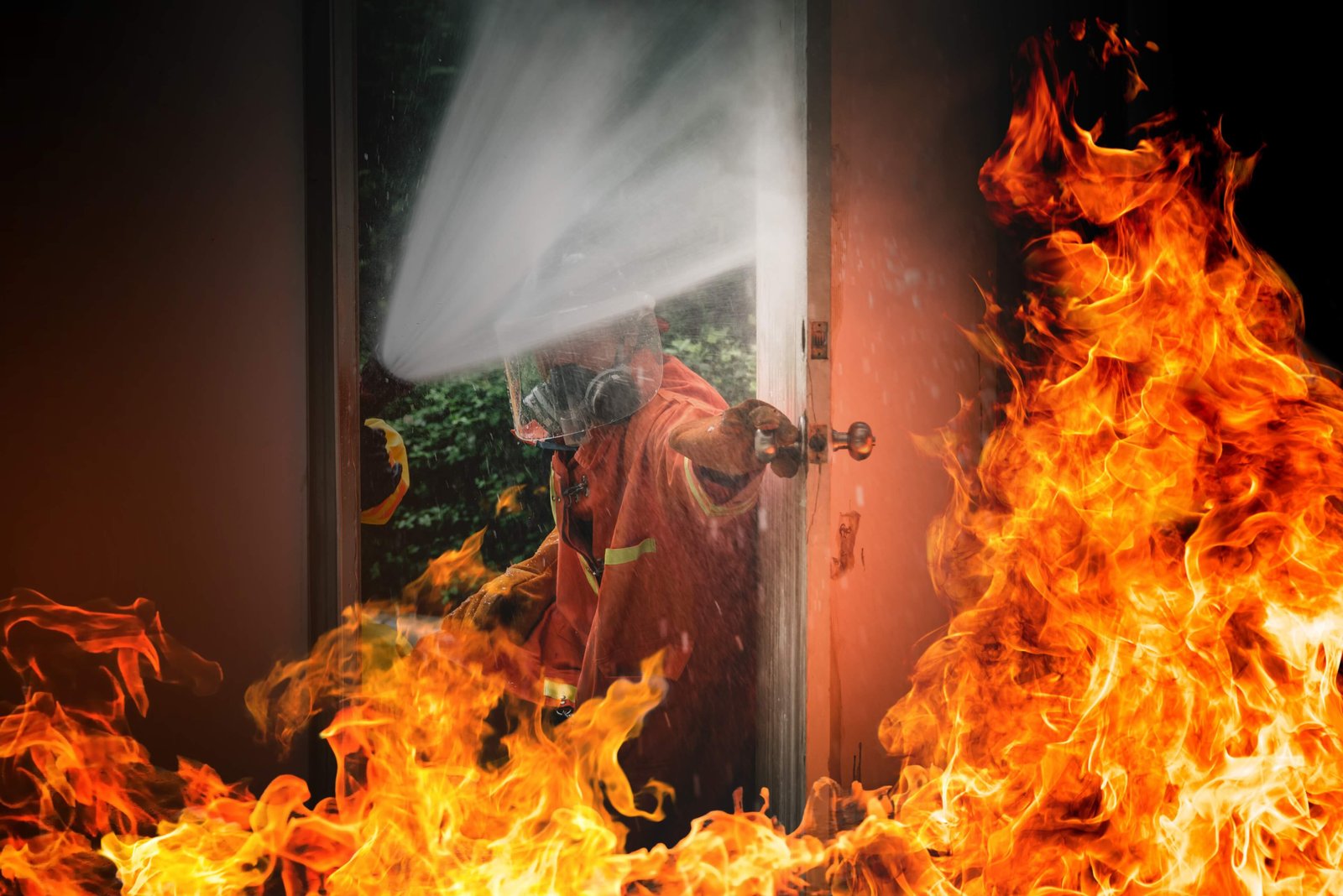 Fire Life Safety (FLS)